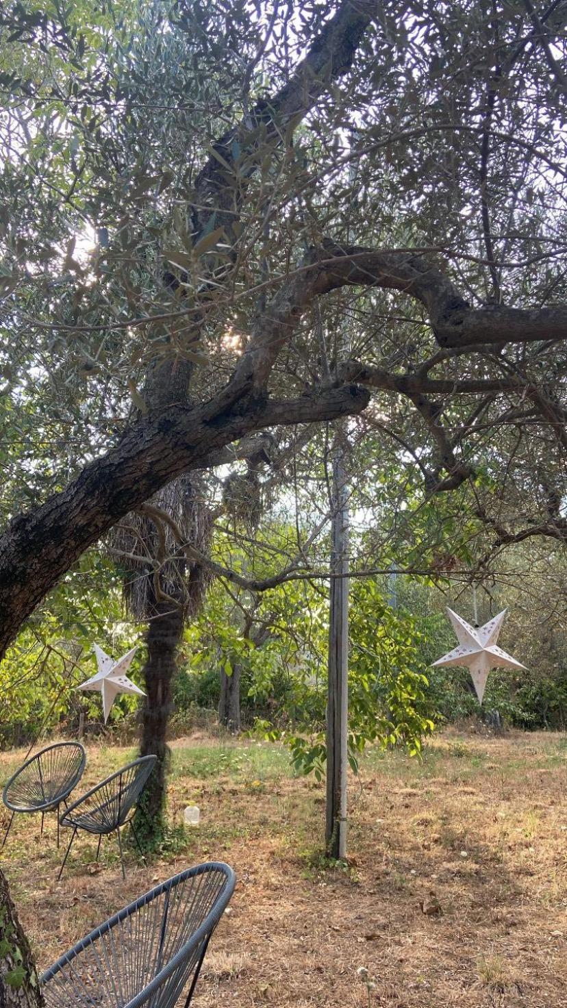 Bolsena Cento20 - Rooms & Relax 外观 照片